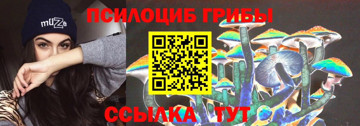 Псилоцибиновые грибы Psilocybine cubensis  Вход с VPN  Галлюциногенные грибы Psilocybe  Богородицк 